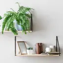 Dinding Kosong Jadi Lebih Menarik, Ini Inspirasi Ambalan Kayu Estetik untuk Percantik Rumah