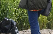 Penampakan Gurun Pasir Disulap jadi Sawah, Padi Tumbuh Subur Dikelola Warganya