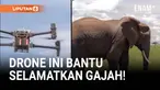 Drone ini tidak berisik sehingga tidak membuat gajah takut. Dengan kamera dan sensor, drone mengumpulkan data perilaku alami, lalu AI menemukan pola yang sebelumnya enggak bisa diamati manusia.