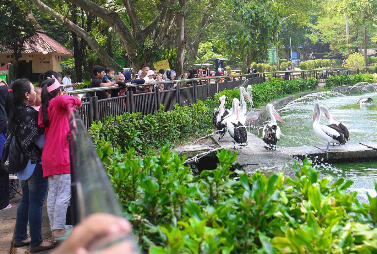 FOTO: Peringatan Maulid Nabi, Ragunan Diserbu Pengunjung