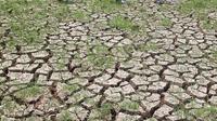 Sementara, BMKG mengatakan bahwa puncak El Nino akan terjadi sekitar Oktober-November 2023. (Liputan6.com/Angga Yuniar)