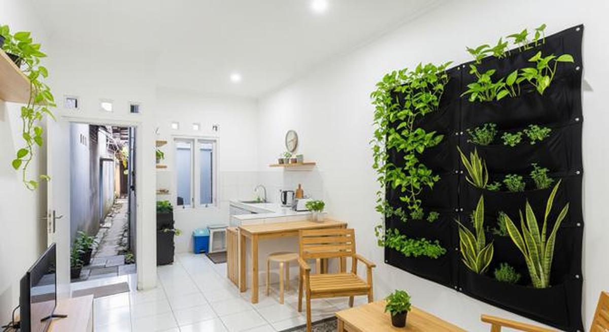7 Desain Rumah Dalam Gang yang Terlihat Sempit dari Luar tapi Luas di Dalam, Tampilannya Bikin Kaget