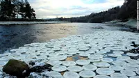 Fenomena unik! 'Pancake es' di sungai Skotlandia (Foto: http://www.cnn.com/)