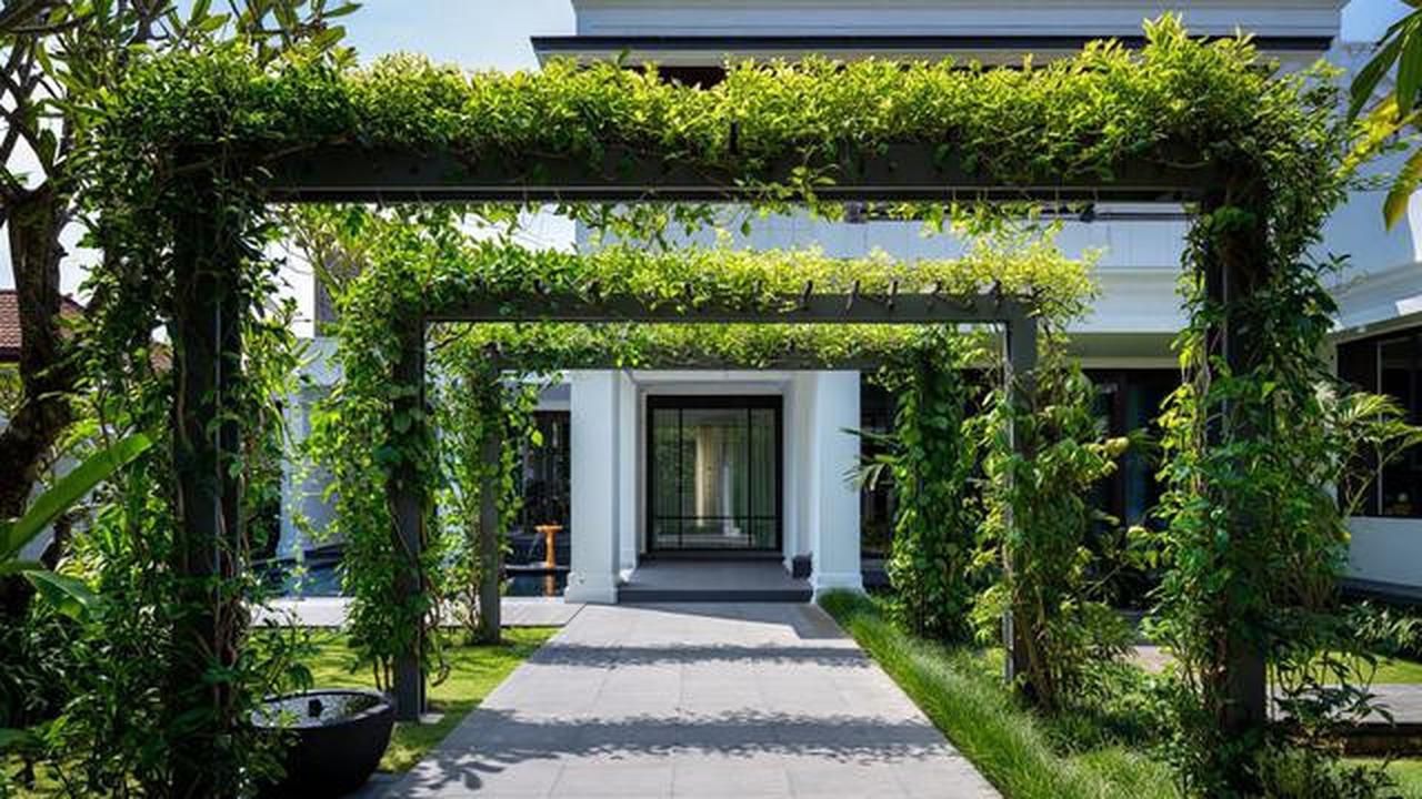 10 Model Tampak Depan Rumah Minimalis Asri dengan Tanaman Rambat, Bikin Hunian Teduh