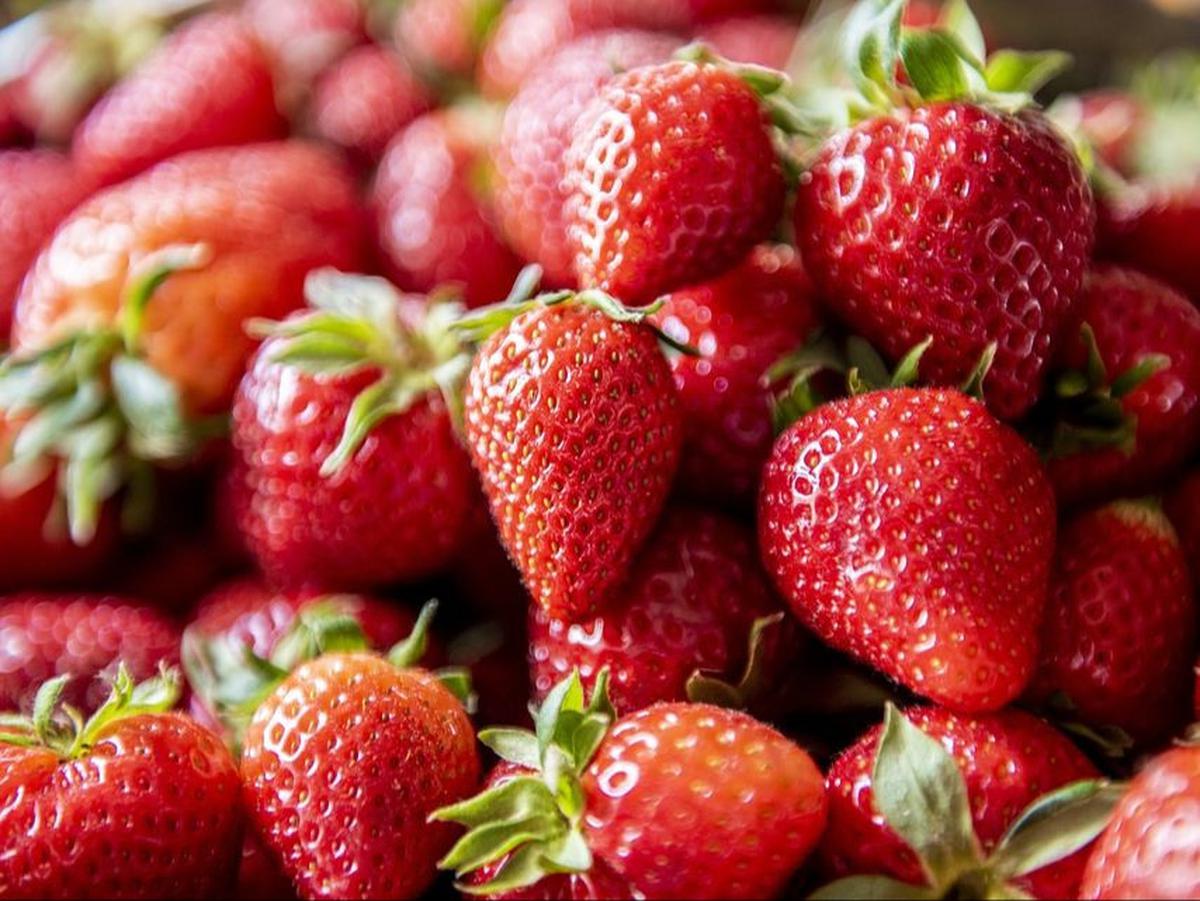 Pentingnya Konsumsi Buah