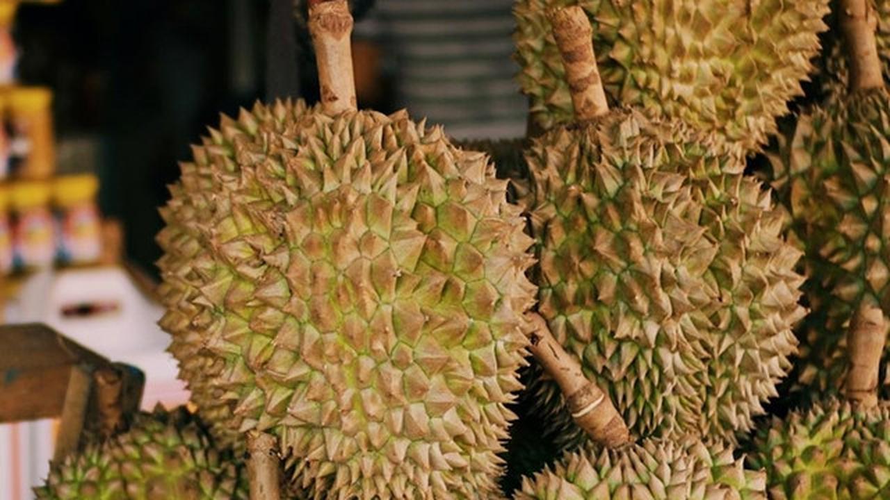 Durian Beku RI Tembus Pasar China