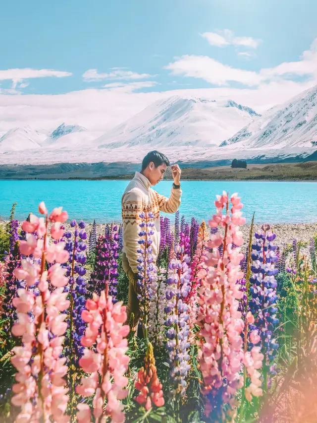 Liburan musim semi ke New Zealand