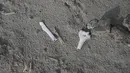 Gambar pada 12 September 2019 menunjukkan  tulang belulang manusia terlihat di lokasi pemakaman etnis Uighur di Shayar, wilayah Xinjiang. Mengambil data satelit Earthrise Alliance, puluhan situs pemakaman Uighur di Xinjiang telah dihancurkan dalam kurun waktu dua tahun. (HECTOR RETAMAL/AFP)