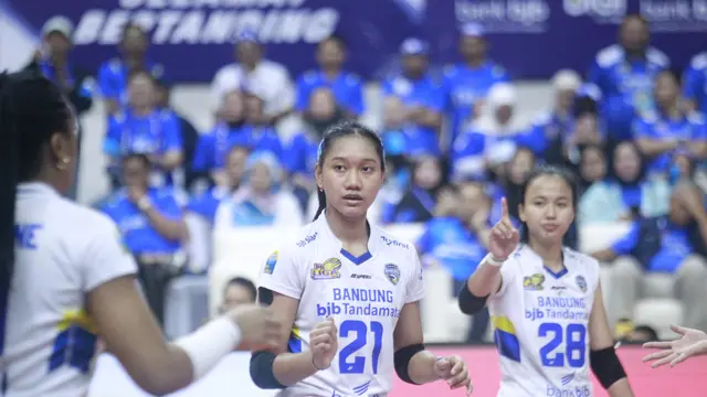 PLN Mobile Proliga 2025