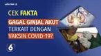 Belum lama ini beredar melalui jejaring sosial, klaim bahwa kasus gagal ginjal akut yang menimpa anak-anak, terkait dengan vaksin Covid-19. Benarkah demikian? Simak Cek Fakta Liputan6.com berikut ini.