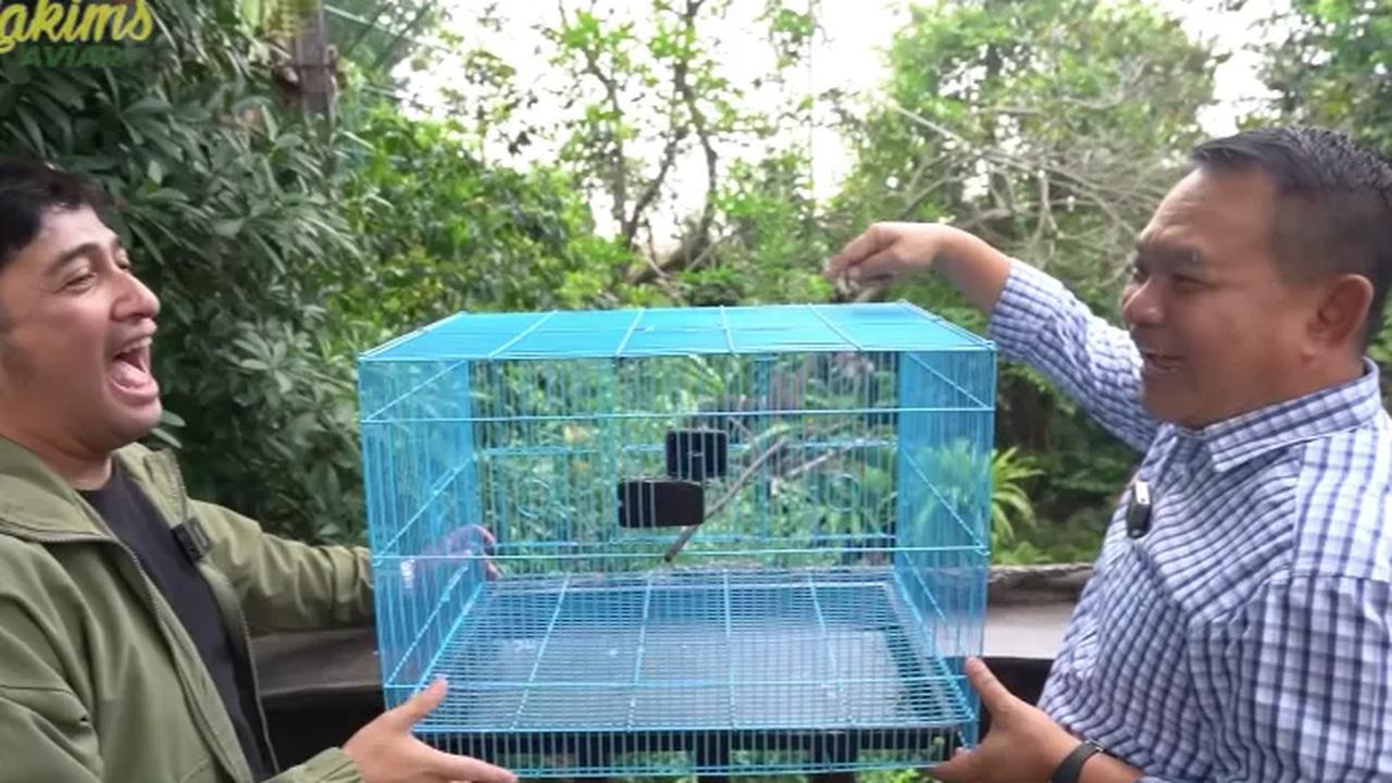 Ikut Lepas Burung Sumatera