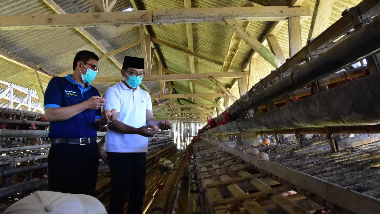 Calon Gubernur Jawa Barat Ridwan Kamil menyambangi Paguyuban Peternak Ayam Petelur Kabupaten Ciamis (P2APC) di Desa Cigembot, Muktisari, Ciamis (istimewa)