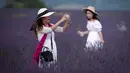 Wisatawan Asia mengambil gambar menggunakan ponsel ketika melintasi ladang lavender di Valensole, sebelah tenggara Prancis pada 29 Juni 2019. Kebun lavender yang mekar mulai akhir Juni hingga Agustus ini adalah objek wisata yang populer bagi turis Asia. (Photo by GERARD JULIEN / AFP)