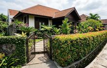 21 Jenis Tanaman untuk Pagar Hidup yang Cocok Mempercantik Rumah