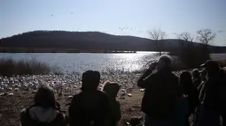 Orang-orang mengamati angsa salju di Kawasan Pengelolaan Satwa Liar Middle Creek, Lancaster County, Pennsylvania, Amerika Serikat, Sabtu (22/2/2020). Ribuan pengamat burung memenuhi Kawasan Pengelolaan Satwa Liar Middle Creek untuk menyaksikan migrasi angsa salju. (Xinhua/Qin Lang)