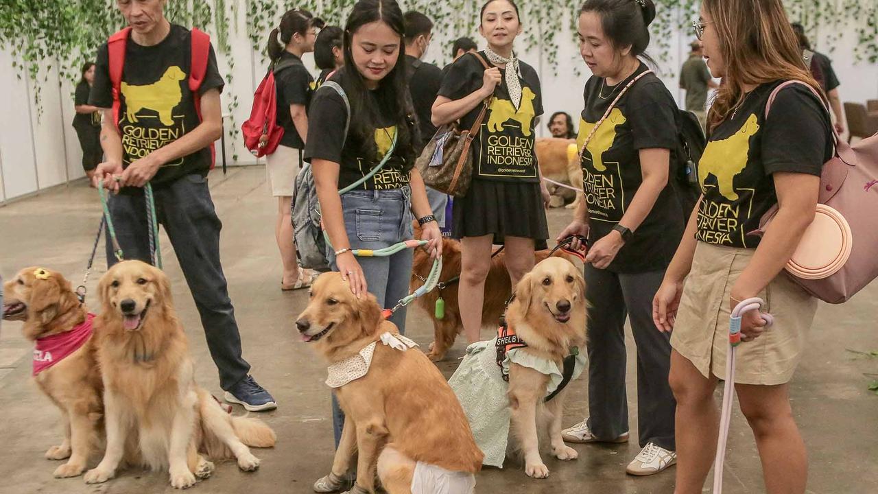 FOTO: Keseruan Pengunjung dengan Binatang Kesayangan saat Pet Fest 2025