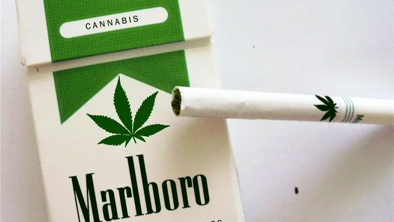 Beredar Rokok Ganja dari Brand Rokok Ternama, Benarkah?