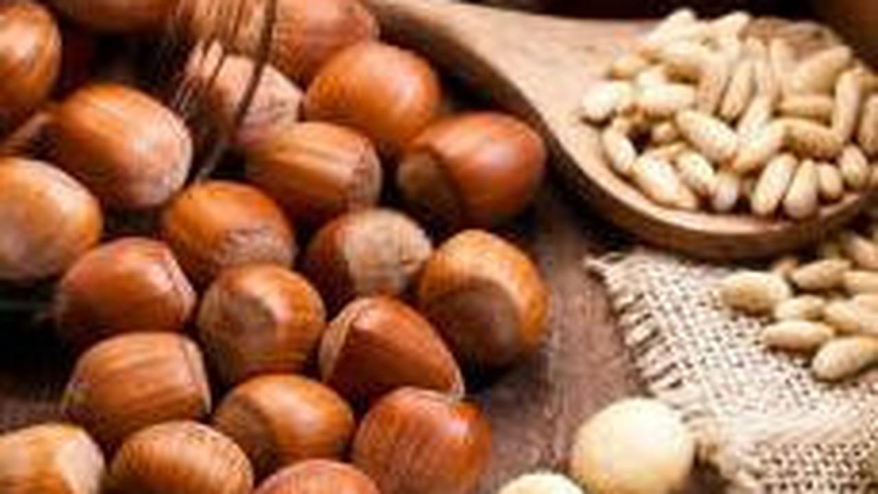 <b>8. Kacang-kacangan</b>