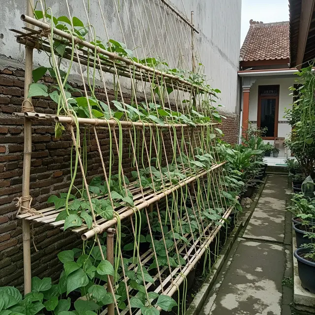 9 Ide Kebun Kacang Panjang Bertingkat untuk Halaman Kecil, Panen Melimpah