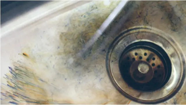 Courtesy Witandwhistle.com