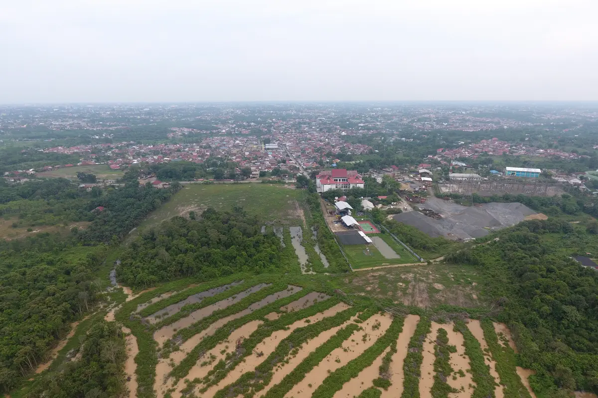 Foto udara lokasi penimbunan batu bara