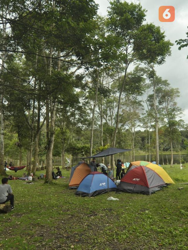 Skenario Adaptasi Normal Baru Wisata Telaga Tambing Di Tn Lore Lindu Regional Liputan6 Com