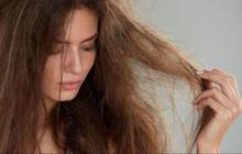 Apa Penyebab Rambut Kering? Begini Cara Memilih Produk Sampo yang Tepat