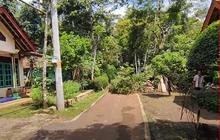 Berada di Tengah Hutan Angker, Kampung Sibimo di Batang Ini Hanya Boleh Dihuni 7 Rumah