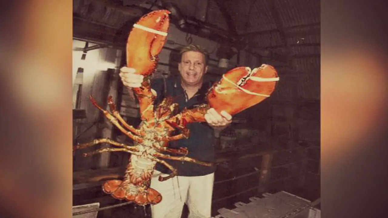 Lobster Berusia 95 Tahun Jadi Selebritis