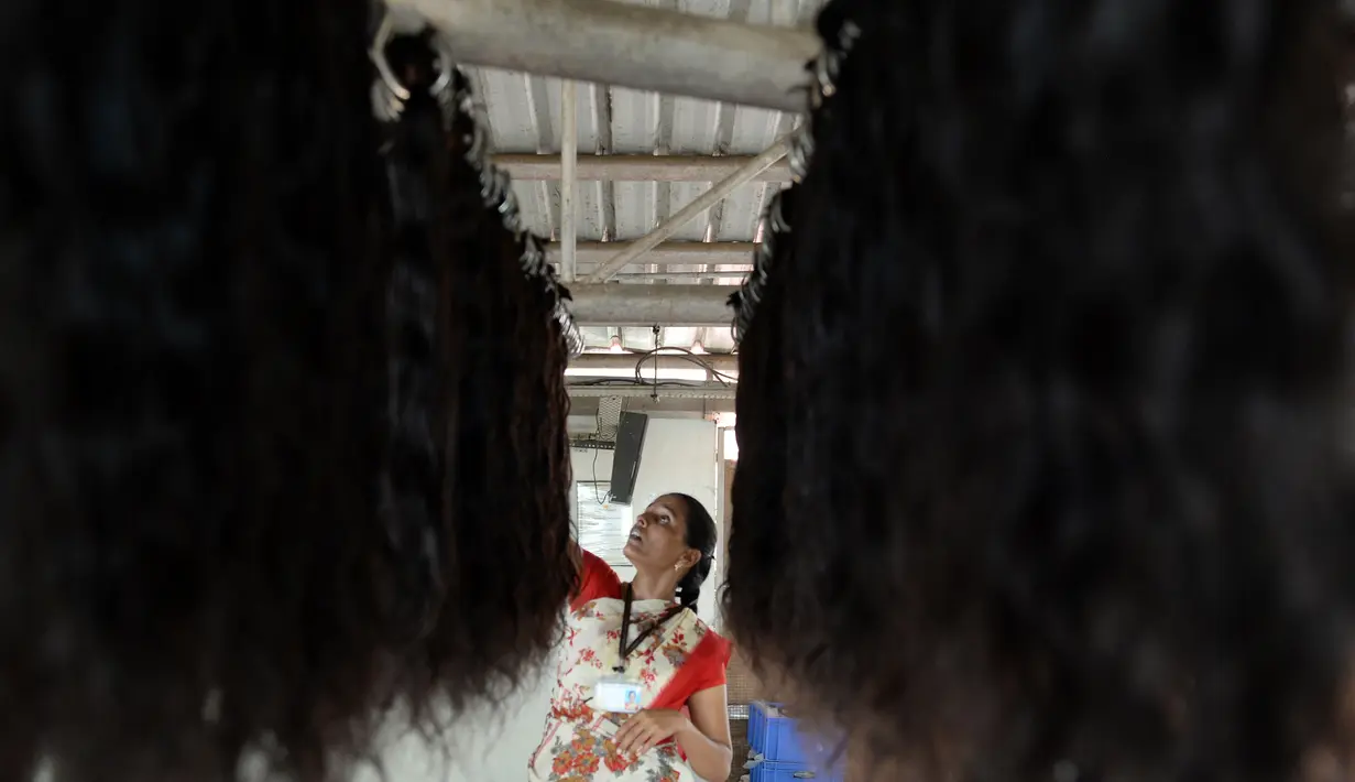 Pekerja mengeringkan rambut palsu usai dicuci di pusat pengolahan Raj Hair International di Alinjivakkam, India (25/7). Rambut-rambut dari pengorbanan itu kemudian dijual untuk pembuatan rambut palsu. (AFP Photo/Arun Sankar)