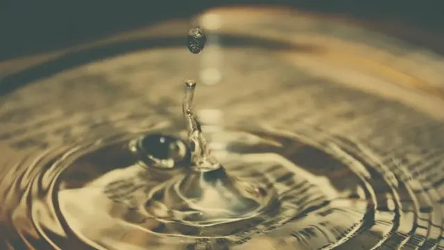 [Bintang] Sepatu Kanvas