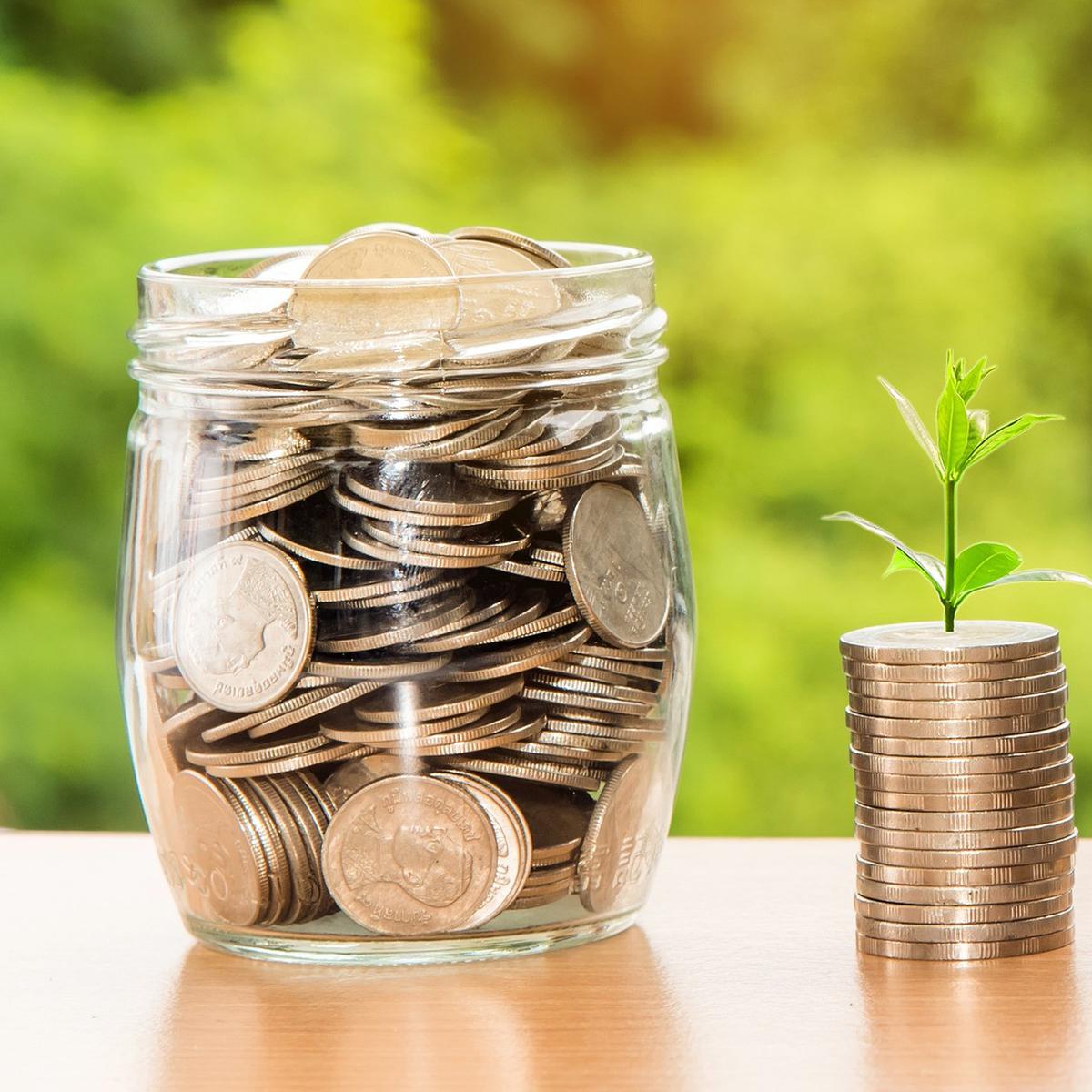 3 Jenis Investasi untuk Pemula yang Menguntungkan, Cocok ...