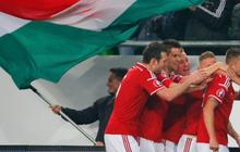 Hasil pertandingan Hungaria vs Norwegia: skor 2-1