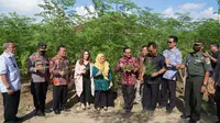 Kepala BKKN Pusat, Hasto Wardoyo bersama Anggota DPR, Edy Wuryanto, Wakil Wali Kota Palu, Kepala BKKBN Sulteng, dan Dirut PT KOI saat meninjau kebun kelor milik PT KOI di Kecamatan Ulujadi, Kota Palu, Kamis (3/11/2022). (Foto: Heri Susanto/ Liputan6.com).