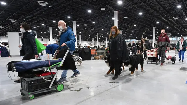 FOTO: Anjing-Anjing Menggemaskan Bersaing di European Dog Show 2021