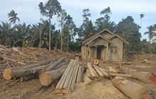 Kementerian Kehutanan Data 1.260 Meter Kubik Kayu Hanyut untuk Pemanfaatan di Aceh Utara