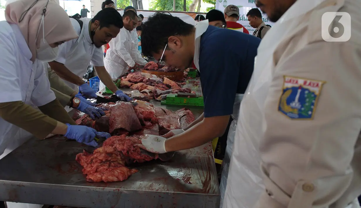 Pemeriksaan kesehatan hewan kurban yang dipotong terutama pada bagian dalam, seperti paru, hati, dan limpa. (merdeka.com/Imam Buhori)