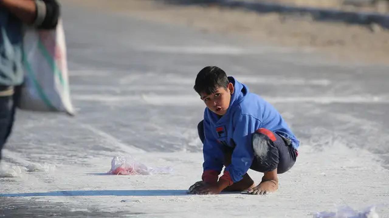 Miris, Anak-anak Pengungsi Palestina Punguti Ceceran Tepung di Jalanan