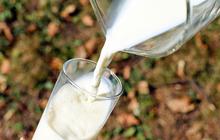 Minuman Herbal untuk Kolesterol, Solusi Alami Menjaga Kesehatan Jantung