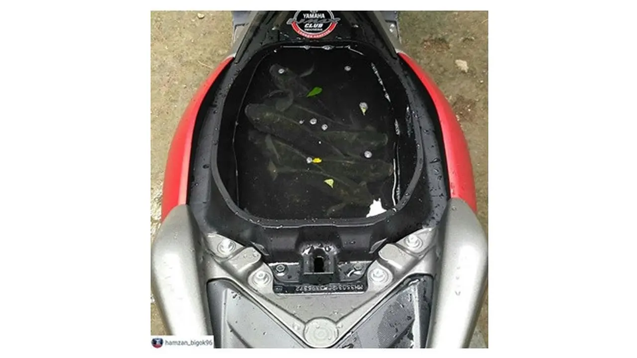 Fungsi Bagasi Motor Ini Bikin Geleng-geleng
