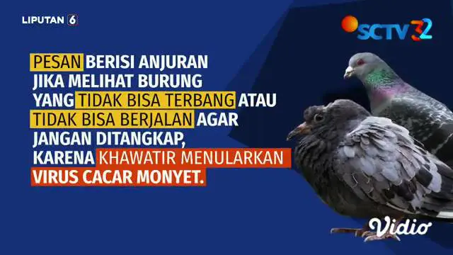 Belum lama ini beredar di media sosial informasi yang menyebutkan virus cacar monyet dikirimkan dari Amerika Serikat ke kawasan Asia melalui burung. Benarkah demikian?