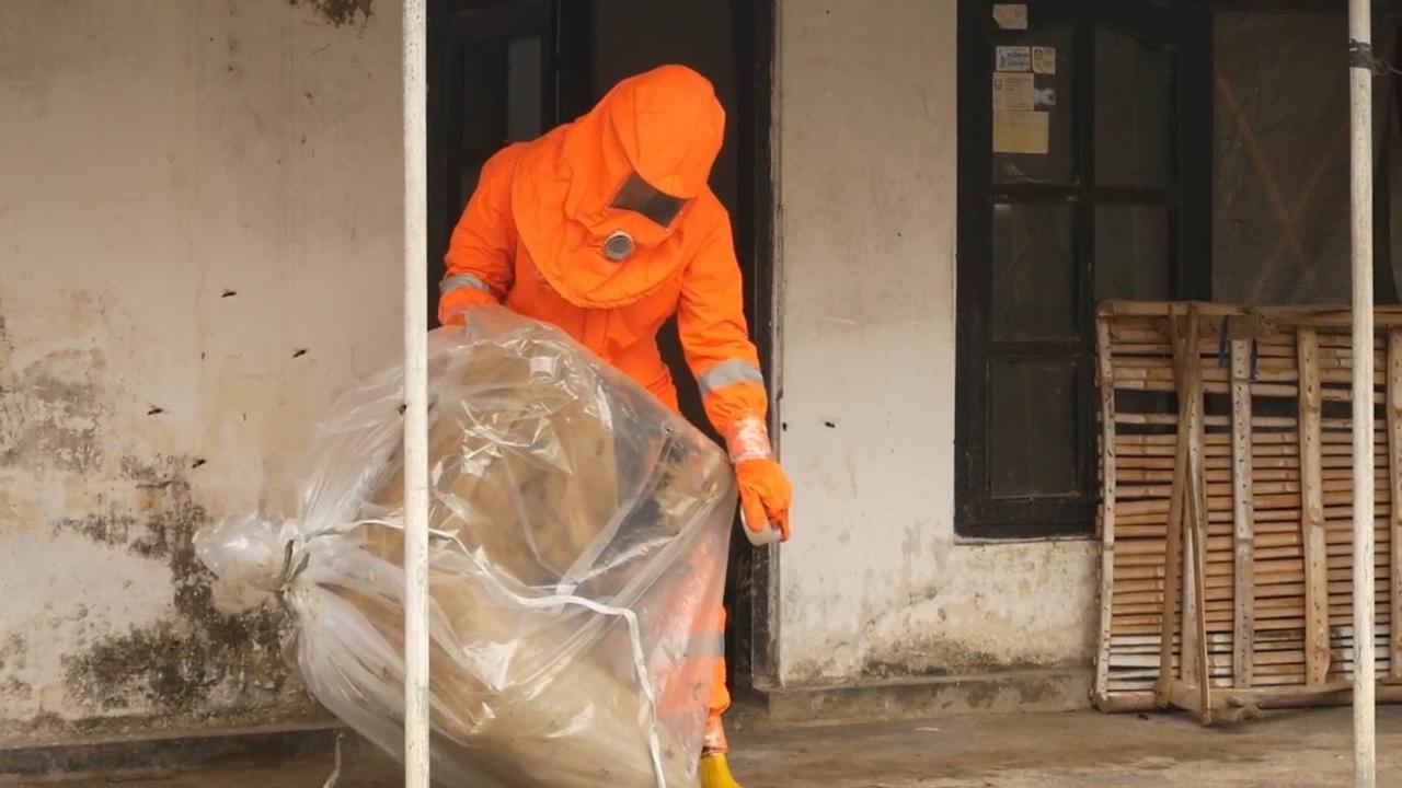 Ngeri! Rumah di Lumajang Dikuasai Koloni Tawon Mematikan, Warga Kewalahan sampai Minta Tolong Damkar