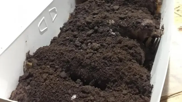 6 Potret Makanan Topping Oreo Ini Nyeleneh Banget, Kocak