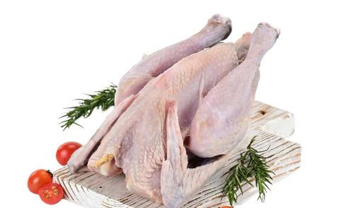 2. Pilih Ayam yang Berkualitas