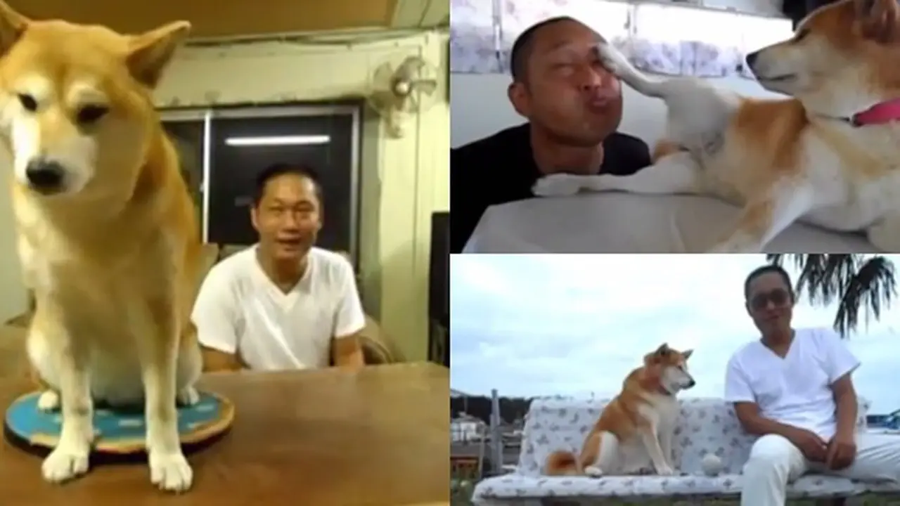 Photo copyright Youtube/Dramafever