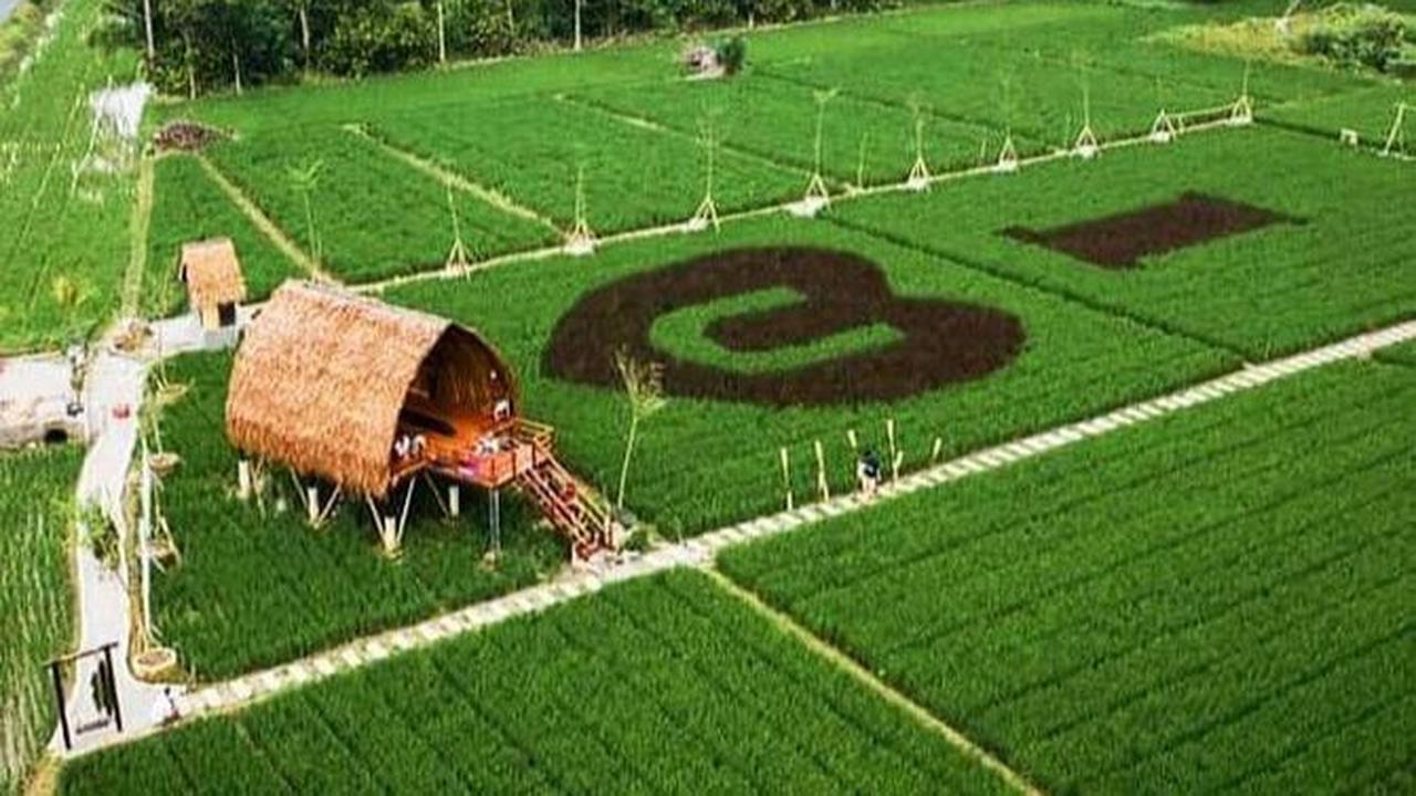 <b>2. Sawah Lukis Binjai</b>