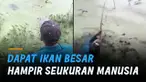 Pemancing itu justru kalah duel tarik menarik hingga tercebur ke kolam.