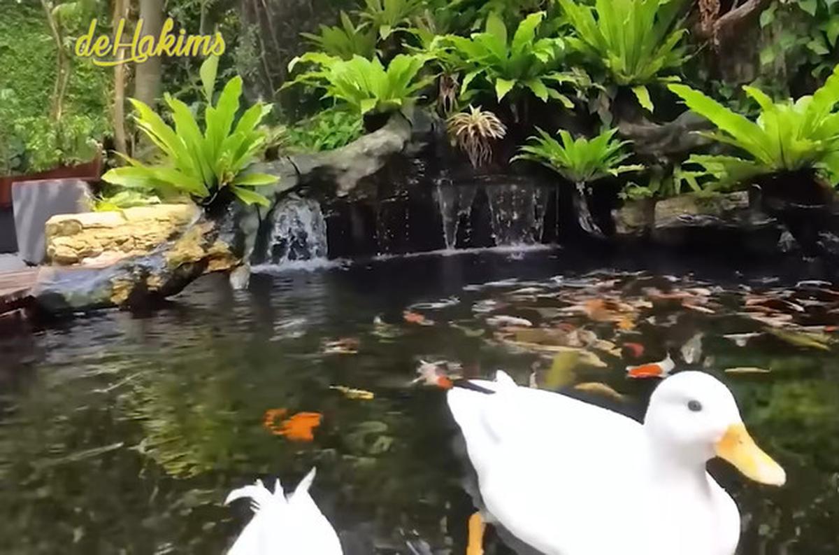7 Potret Kolam Ikan di Rumah Irfan Hakim, Ada yang di Tengah Tangga