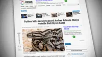 Satpam Bali Tewas Dililit Ular Python Disorot Dunia
