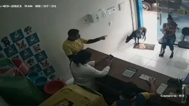 Aksi Anjing Datang ke Klinik Untuk Mendapatkan Pertolongan Ini Bikin Haru